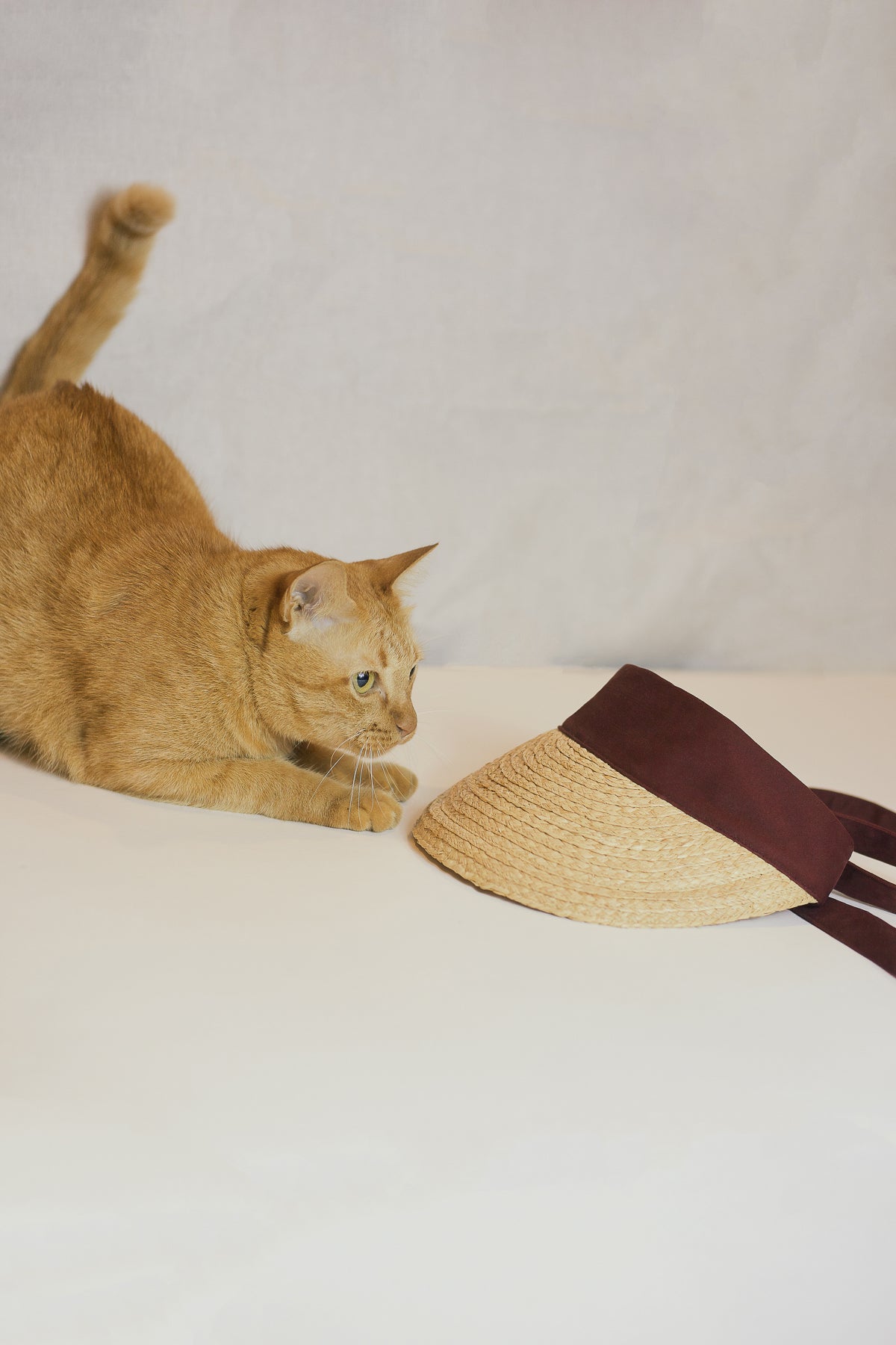 Odette Ribbon Visor